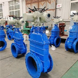 電動(dòng)閘閥Z941h -64 DN500（石化行業(yè)、煉油廠